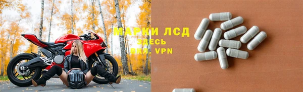 гашик Пролетарск