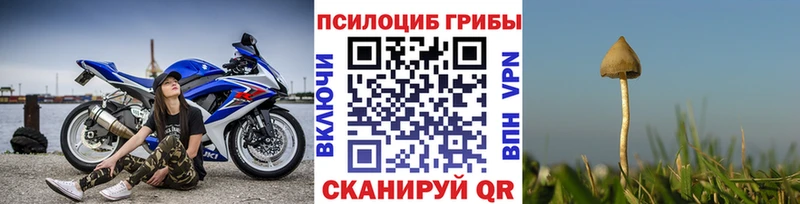 Галлюциногенные грибы Cubensis  где продают   ОМГ ОМГ ONION  Усолье-Сибирское 