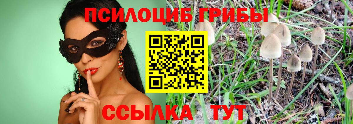 Галлюциногенные грибы Psilocybe Усолье-Сибирское